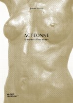 Actéonne de Martial Raysse