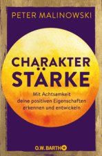 Charakterstärke. Mit Achtsamkeit deine positiven Eigenschaften erkennen und entwickeln