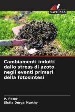Cambiamenti indotti dallo stress di azoto negli eventi primari della fotosintesi