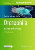 Drosophila