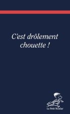 Carnet Le Petit Nicolas 