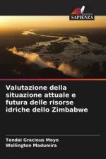 Valutazione della situazione attuale e futura delle risorse idriche dello Zimbabwe