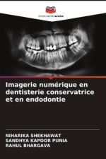 Imagerie numérique en dentisterie conservatrice et en endodontie