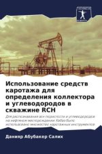 Ispol'zowanie sredstw karotazha dlq opredeleniq kollektora i uglewodorodow w skwazhine RCH