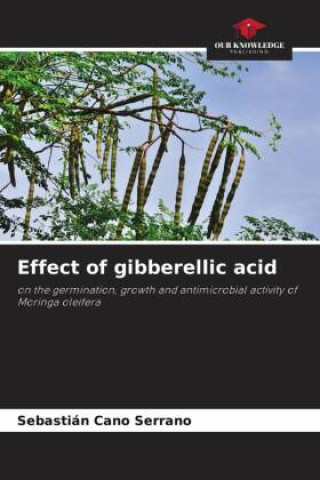 Effect of gibberellic acid