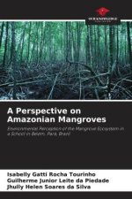 A Perspective on Amazonian Mangroves
