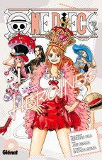 One Piece Roman Novel Heroines