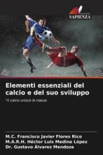 Elementi essenziali del calcio e del suo sviluppo