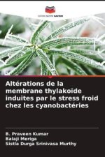 Altérations de la membrane thylako?de induites par le stress froid chez les cyanobactéries