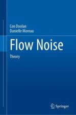 Flow Noise