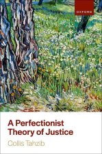 A Perfectionist Theory of Justice (Hardback)