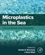 Microplastics in the Sea