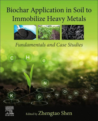 Biochar Application in Soil to Immobilize Heavy Metals