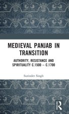 Medieval Panjab in Transition
