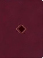CSB Day-By-Day Chronological Bible, Burgundy Leathertouch