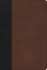 CSB Large Print Thinline Bible, Black/Brown Leathertouch
