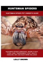 Huntsman Spiders