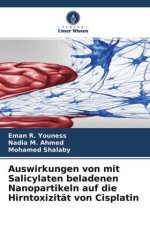 Auswirkungen von mit Salicylaten beladenen Nanopartikeln auf die Hirntoxizität von Cisplatin