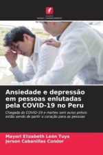 Ansiedade e depress?o em pessoas enlutadas pela COVID-19 no Peru
