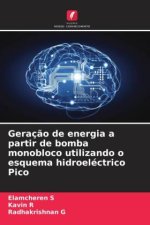 Geraç?o de energia a partir de bomba monobloco utilizando o esquema hidroeléctrico Pico