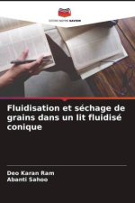 Fluidisation et séchage de grains dans un lit fluidisé conique