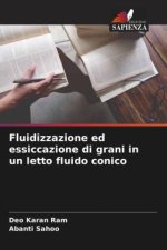 Fluidizzazione ed essiccazione di grani in un letto fluido conico