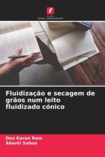 Fluidizaç?o e secagem de gr?os num leito fluidizado cónico