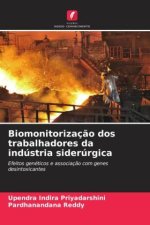 Biomonitorizaç?o dos trabalhadores da indústria siderúrgica