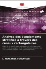 Analyse des écoulements stratifiés ? travers des canaux rectangulaires