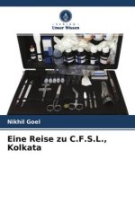 Eine Reise zu C.F.S.L., Kolkata