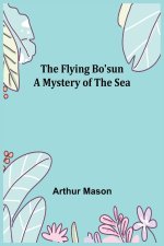Flying Bo'sun A Mystery of the Sea
