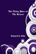 Flying Boys to the Rescue