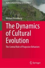 Dynamics of Cultural Evolution