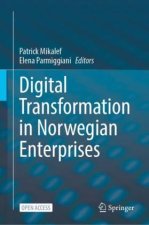 Digital Transformation in Norwegian Enterprises
