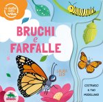 Bruchi e farfalle. Il ciclo della vita