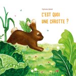 C'EST QUOI UNE CAROTTE ?