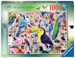 Puzzle 2D 1000 Matt Sewell's Wspaniałe ptaki 16769