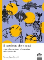 vertebrato che è in noi. Anatomia comparata ed evoluzione del corpo umano