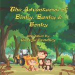 Adventures of Binky, Banky and Bonky