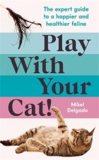 PLAY WITH YOUR CAT