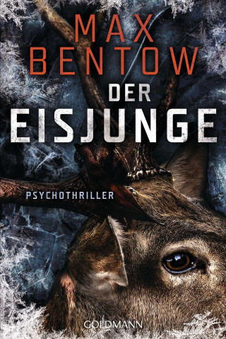 Der Eisjunge