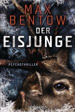 Der Eisjunge