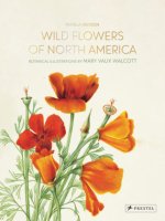 Wild Flowers of North America