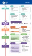 MEDI-LEARN Card: C-ABCDE