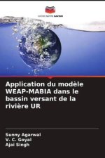 Application du mod?le WEAP-MABIA dans le bassin versant de la rivi?re UR