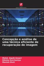 Concepç?o e análise de uma técnica eficiente de recuperaç?o de imagem