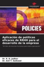 Aplicación de políticas eficaces de RRHH para el desarrollo de la empresa