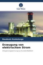 Erzeugung von elektrischem Strom