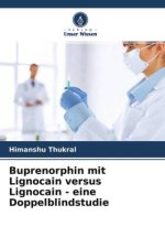 Buprenorphin mit Lignocain versus Lignocain - eine Doppelblindstudie