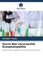 Durch Blei verursachte Enzephalopathie